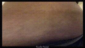 Fat Ass Nicole POV
