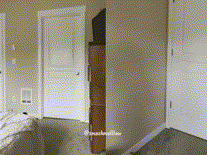 tumblr rxg224rfBY1zdbyr2 720