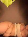 Feedism EggstencialCrisis 1hbgb3l 3