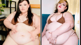 Feedism stuffingkit 105afy5