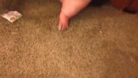480P 2000K 318167591