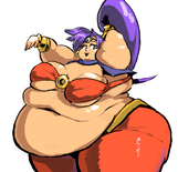 Shantae putting the BELLY in belly dance