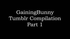 y2mate.com - Ganingbunny tumbler compilation pt 1 360p