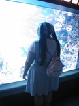 IMG 4851