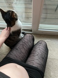 Tumblr l 28831540477724