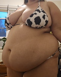 paperfeeds-cow1
